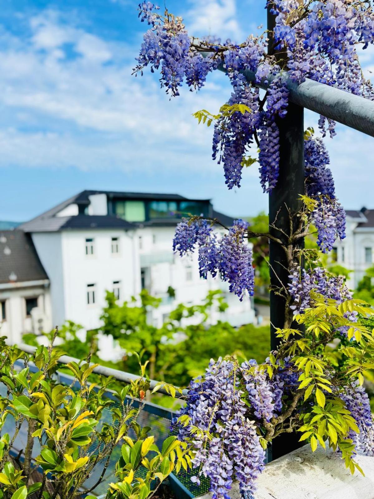 Pension Am Sueltebrunnen Bad Oeynhausen Exterior photo